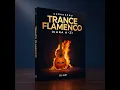 Lagu Dj Ajm - Trance Flamenco (CARA A-2) Melancholic Spanish Guitar |Techno House|Electronic Dance  Music