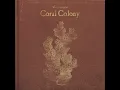 coral colony