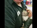 Operation Kitty Rescue Gilleland Chevrolet - Cadillac