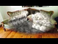 Beautiful Sofa Bed Craigslist