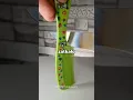 Download Lagu Nie Chciała Mojego Nazwiska Bo Było Za Słabe😰