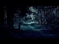 Moonsorrow - Sankarihauta