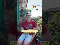 Download Lagu In een oudere vorm van Nederlands heette dit diertje nog botervlieg 🧈🪰. Wat is de naam in jouw taal?
