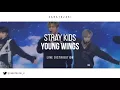 Stray Kids (스트레이 키즈) - Young Wings (어린날개) [Without Felix & Minho] | Line Distribution