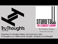 The Sindecut, Ijeoma - Stand Tall - Club Mix