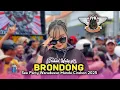Download Lagu APA JARE BAE (BRONDONG) • INDAH WATY • PUTRA PAI MUDA • Sea Party Waruduwur Mundu Cirebon 