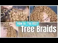 How to do Tree Braids Revealing NEVER BEFORE SEEN SECRETS 2019 Yaya s Technique