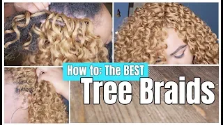 How to do Tree Braids Revealing NEVER BEFORE SEEN SECRETS 2019 Yaya s Technique