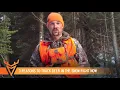 3 Reasons to Track Deer in the Snow RIGHT NOW Whitetail How To Wired to Hunt