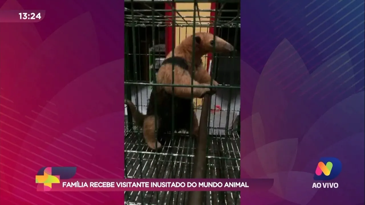 Família recebe visitante inusitado do mundo animal