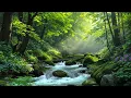 Download Lagu Bosbeekgeluid met fluitende vogels, prachtige vink- en nachtegaalzang