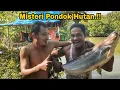 Download Lagu AWAS BERBAHAYA😱MONSTER DI DASAR SUNGAI MENGAMUK || IKAN PATIN PURBA PENGHUNI PONDOK HUTAN