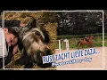 Download Lagu ZAZA laten INSLAPEN.. + PAARDZOEKTBAAS DAG!!