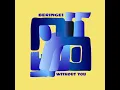 Without You (feat. William Florelle)