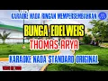 Download Lagu BUNGA EDELWEIS - THOMAS ARYA KARAOKE NADA STANDARD (ORIGINAL)
