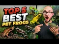 Top 5 Best Pet Frogs