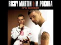 It's Alright (featuring M. Pokora)