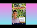 Which Bird Can Fly Backwards Amazing Hummingbird Fact