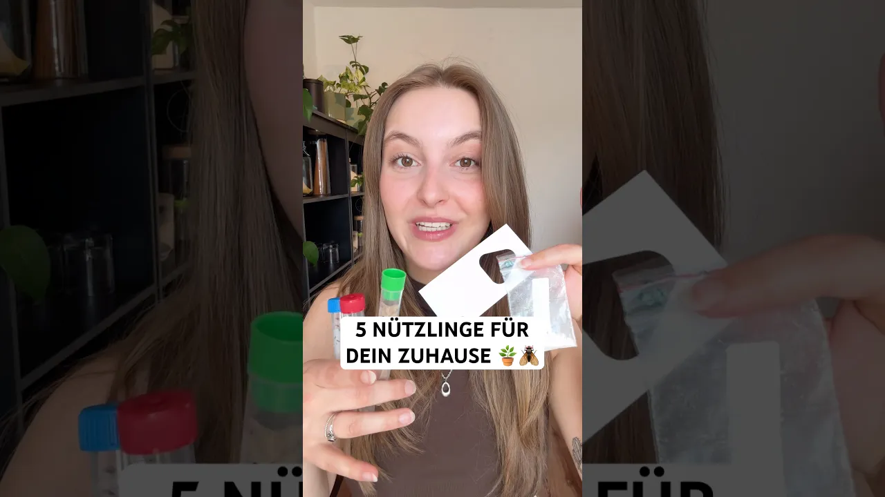 5 Nützlinge mit denen du Schädlinge natürlich bekämpfen kannst – Käfer, Trauermücken, Motten & Co.