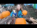 How To Make A Circular Wood Pile Why should kids have all the fun