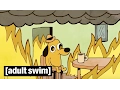 This is Fine Adult Swim