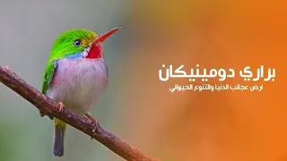 براري دومينيكان أرض عجائب الدنيا والتنوع الحيواني هذا من إبداع الخالق سبحانه وتعالى كويست عربية 