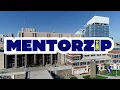 Engineering Growth Through Mentorship