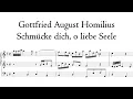 Homilius - Schmücke dich, o liebe Seele - Metzler organ, Poblet, Hauptwerk