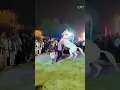 Download Lagu Rajasthani horse dancing 2024||tejal bangyo bind nacho nacho||#youtube #ytshorts #dance #horesdance