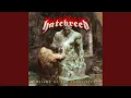 Download Lagu Wings of the Vulture