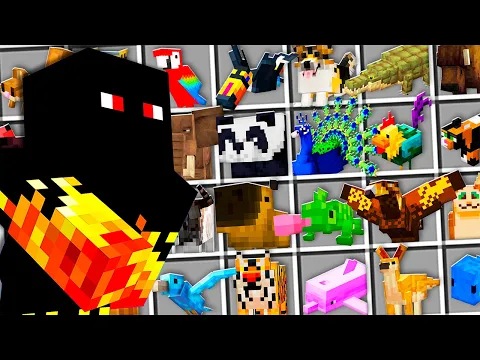 Video Thumbnail: Fiz um Zoológico dos Animais da Vida Real