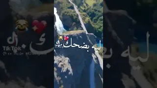 حالات واتس انا في حاجه هتجنني جديد 2021 