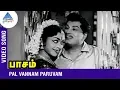 Download Lagu MGR Saroja Devi Duet Song | Pal Vannam Paruvam Song | Paasam Tamil Movie | MGR | Saroja Devi | பாசம்