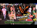 Download Lagu Karnaval Tamanagung Banyuwangi | Dj Bokong semok | Best Saweria.