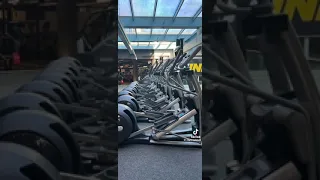 نهفات زين ابو علي دندنها