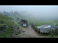Lagu This IS Most Relaxation Mountain Village Life During Heavy Rainy Days | Nature With Rural Village |
