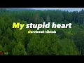 Slow Remix !!!! My Stupid Heart (Lyric) - Walk Off The Earth