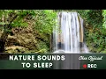 Immerse Yourself in Tranquil Waterfall Sounds The Ultimate Peaceful Escape for Deep Relaxation