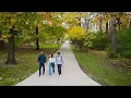 Undergraduate Studies at UM-Dearborn