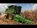 Highest PROFIT corn
