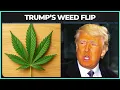 Download Lagu Trump’s Weed Flip Sends MAGA Into Meltdown