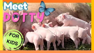 All About PIGS for Kids! 🐷 Cute Piglets & Fun Facts