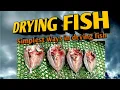 Drying Fish Process Simplest way