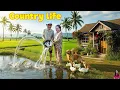 Download Lagu Kehidupan Desa Jack \u0026 Tu Tien: Menggali Kolam, Memelihara Ikan, Memelihara Bebek Sungguh Menyenan...