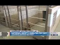 Lubbock Animal Services takes part in National Adopt a Shelter Pet Day with free adoption