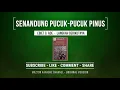 Download Lagu SENANDUNG PUCUK PUCUK PINUS - Ebiet G. Ade (1982) KARAOKE (ORIGINAL VERSION)