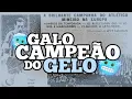 Download Lagu TRAJETÓRIA DO GALO CAMPEÃO DO GELO 1950