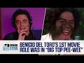 How Benicio Del Toro Got His 1st Movie Role in Big Top Pee-Wee 2010