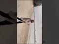 Story wa prank temen, manasin mantan ke pantai bareng cewe cantik. Mentahan Halu