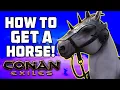 How to get a Horse in Conan Exiles